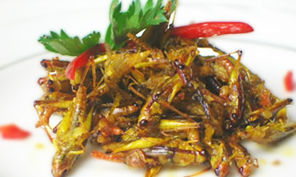 Crispy grasshoppers