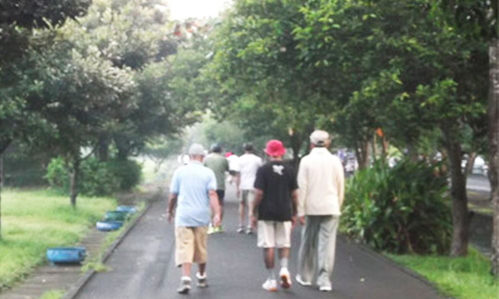 Jogging with morning birds