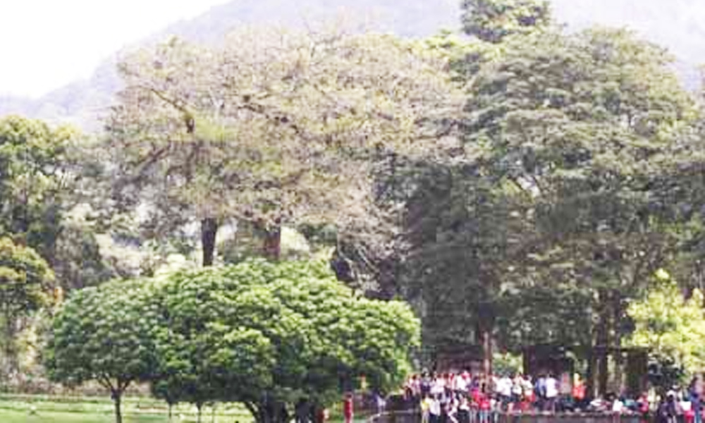 Eka Karya Botanical Garden