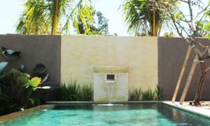 Water feature on pool.