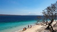 West Beach of West Bali National Park