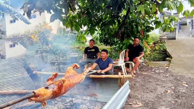 roasted pig